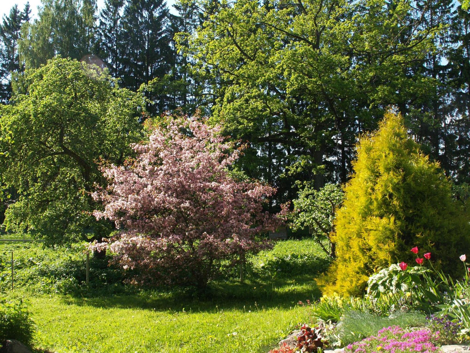 Mokko Country Hotel Palamuse Exteriör bild